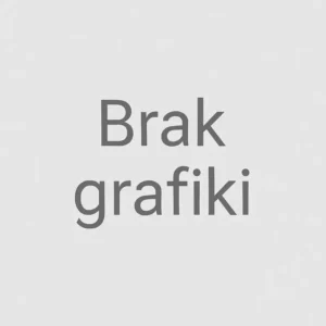 Brak grafiki