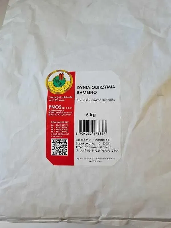 Dynia olbrzymia Bambino 5kg