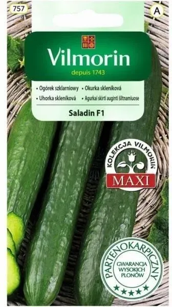 Ogórek Saladin Gładki F1 Kanapkowy Vilmorin 0,8G