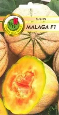 Pnos Melon Malaga F1 1g