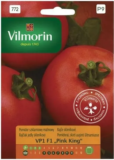 Pomidor Szklararniowy Malinowy Vp 1 F1 Pink King Vilmorin