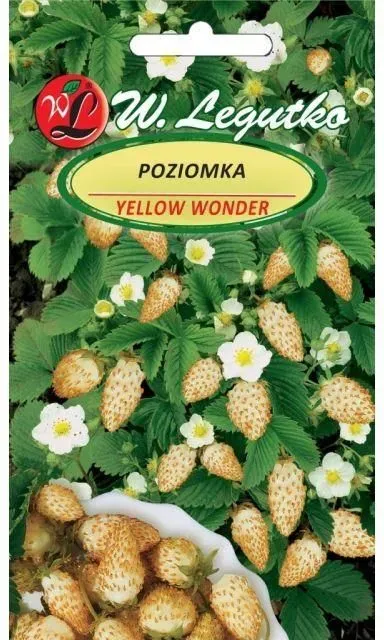 Poziomka Yellow Wonder Legutko 0,1G