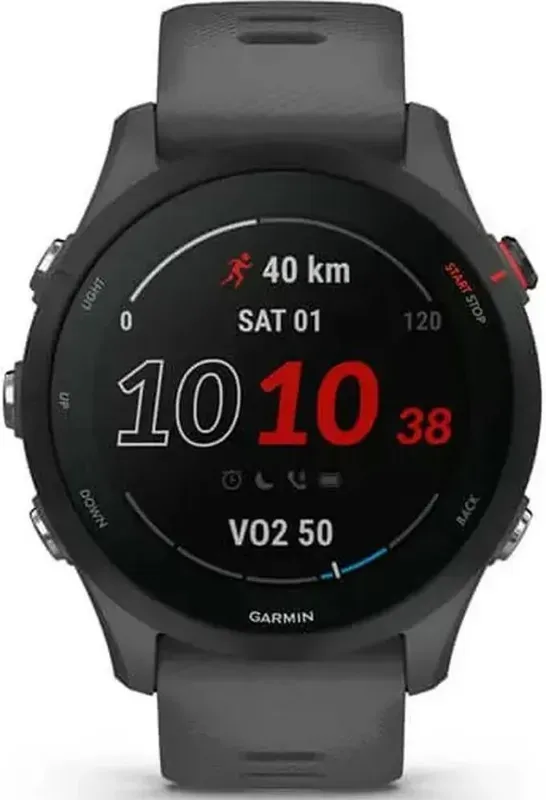 Garmin Forerunner 255 Popielaty 010-02641-10